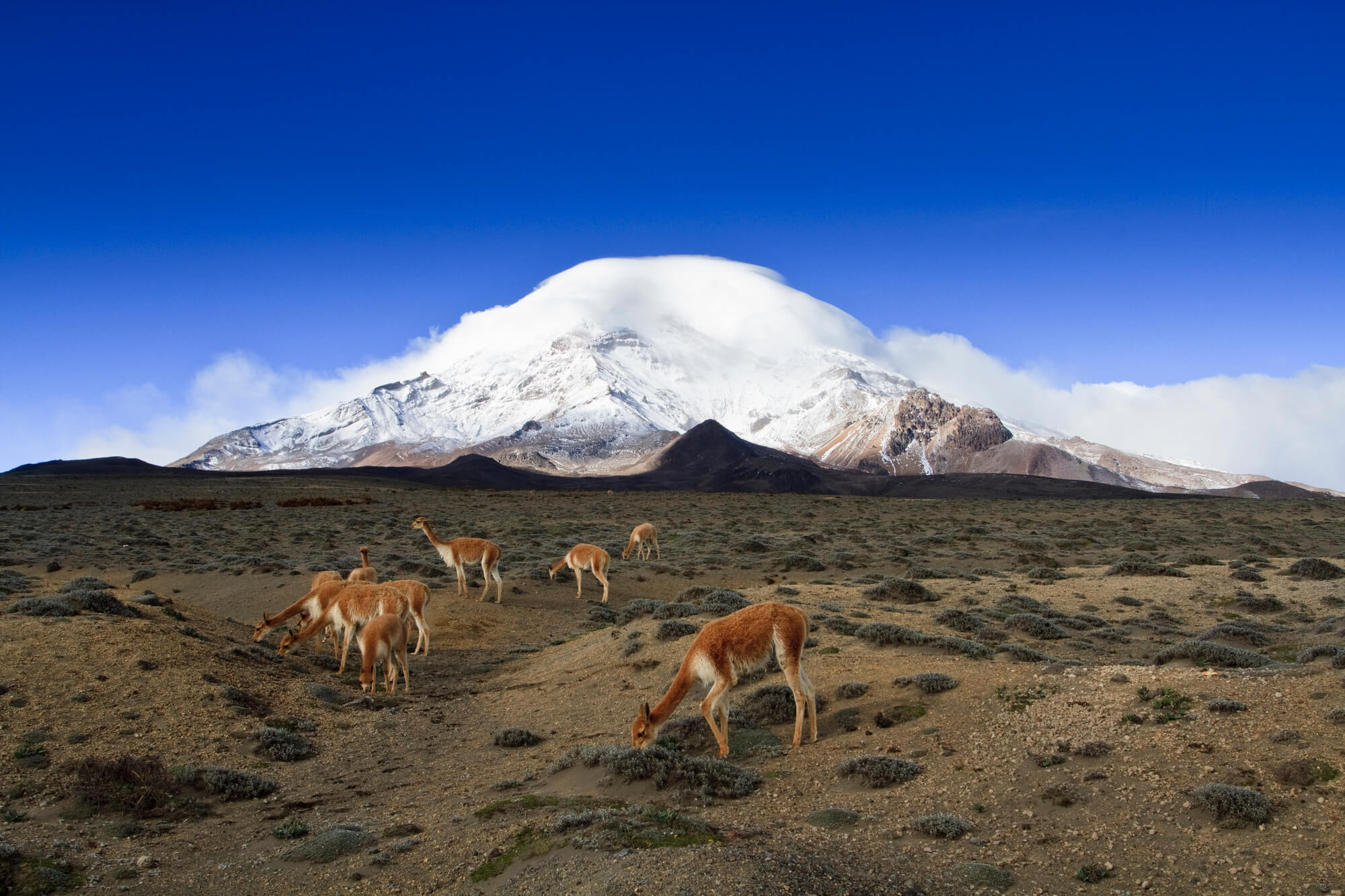 Chimborazo